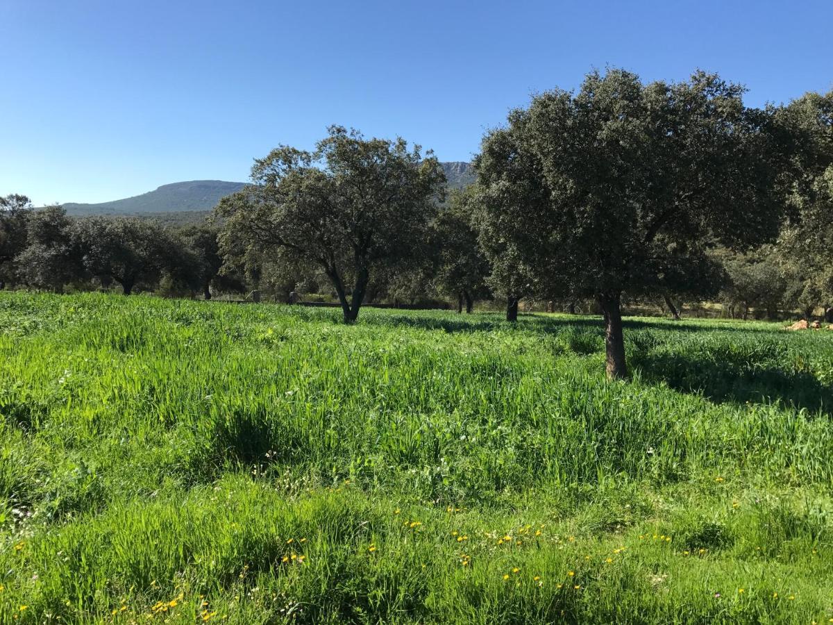 Casa Rural De La Finca Sierra Grande Hornachos ภายนอก รูปภาพ